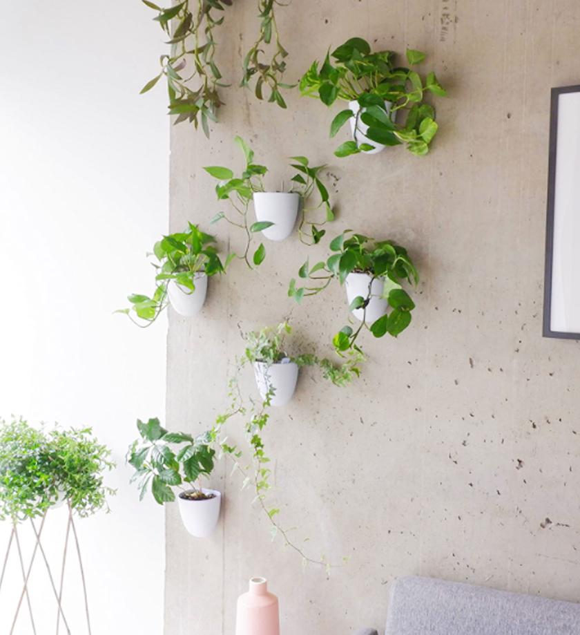 office-planters